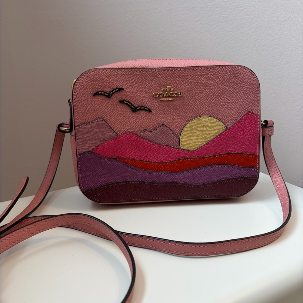 Coach Pink and Purple Crossbody Bag - Picture 14 of 14